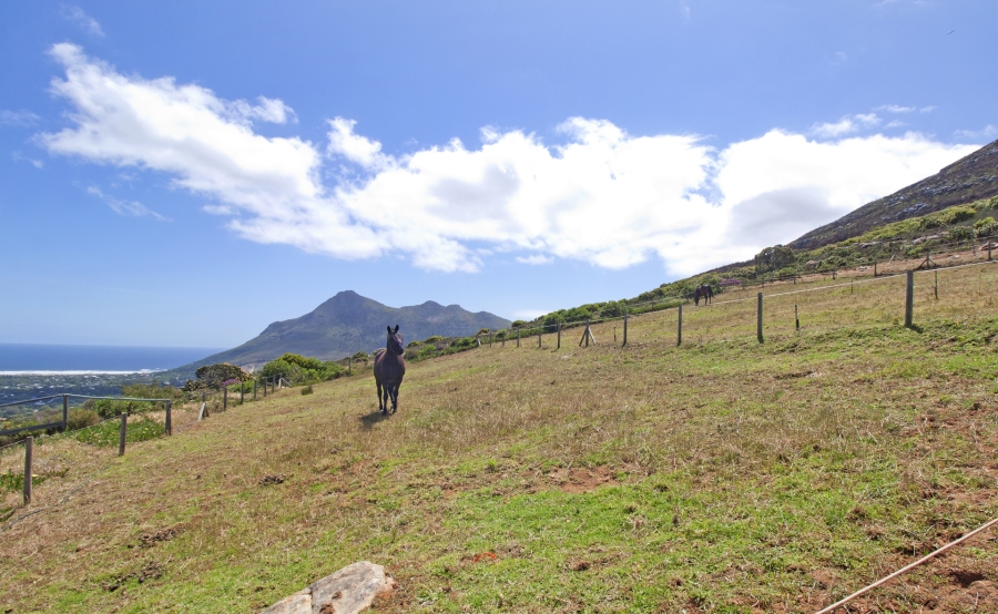 To Let 5 Bedroom Property for Rent in San Michel Western Cape